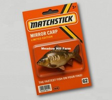 Fridge Magnet Mirror Carp 