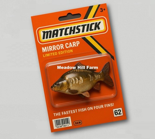 Fridge magnet mirror - fridge, carp