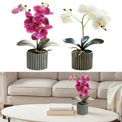 Artificial plant bonsai - bonsai, fake