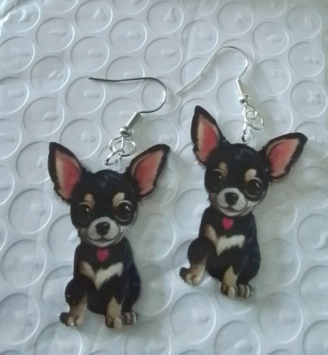 Cute chihuahua puppy dog - /,