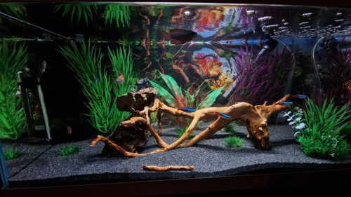 Aquael day night 54l - &,