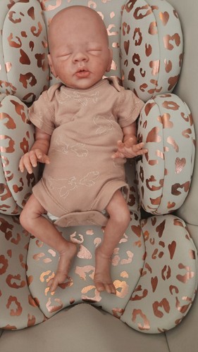 Reborn doll daisy brown - reborn,