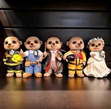 Meerkat Indoor/Outdoor