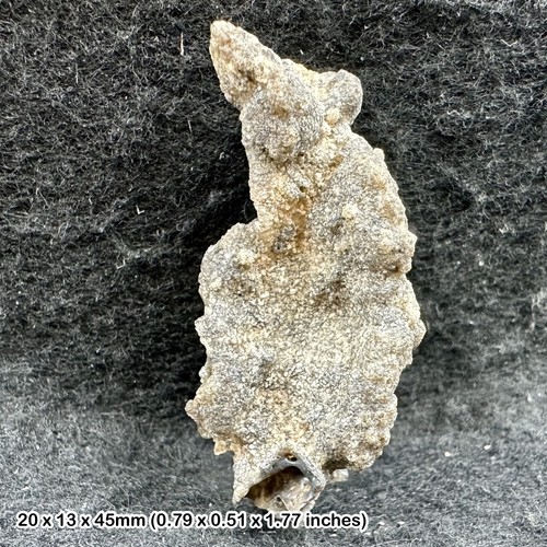 Crystal fulgurite petrified - fulgurite, (petrified