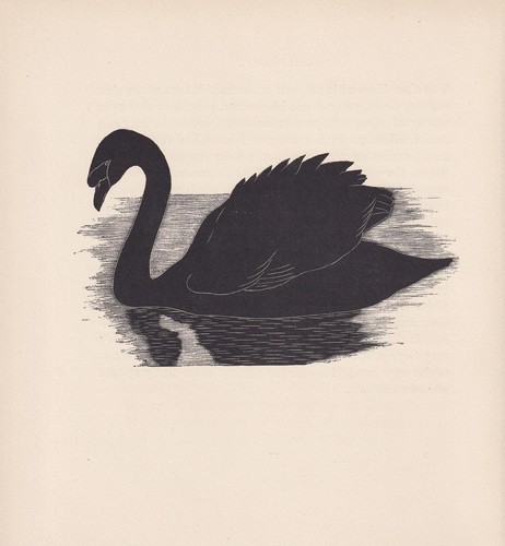 1929 swan bird print - 1929,