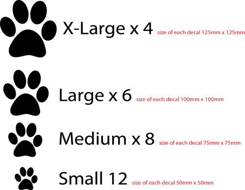 Paw print vinyl wall art - paw,