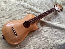 Short scale archtop tenor