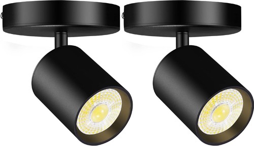 Pack ceiling mount led - 2-pack,