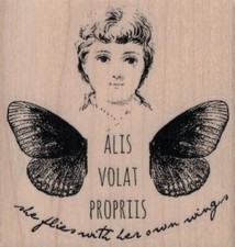 Alis volat proprits cat - alis,
