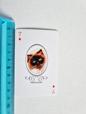 Himalayan Cats Gatto Card Rare