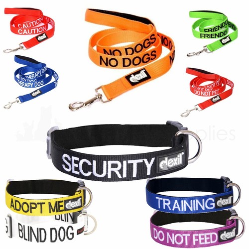 Dexil dog collar - dog,