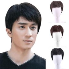 Men's Short Wig Realistic