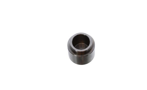 Rear brake caliper pistons - caliper, for