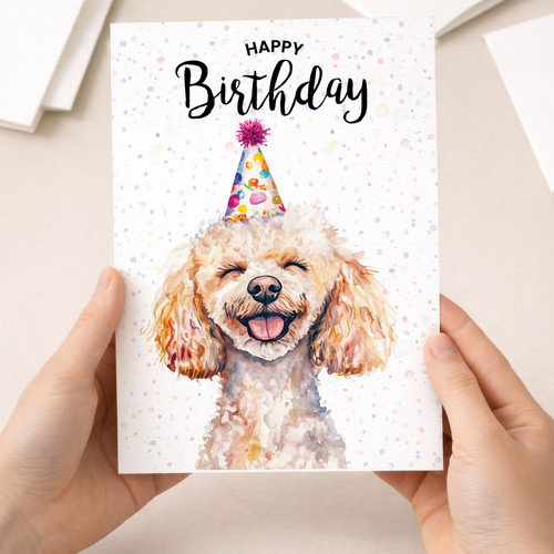 Poodle dog birthday - dog, gift