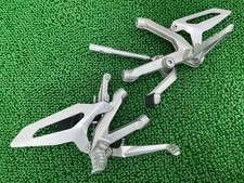 Used 1199 Panigale S footpegs