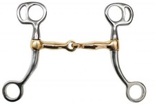 Showman Pony Stainless Steel