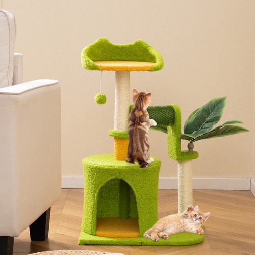 Green palm cat - tree,