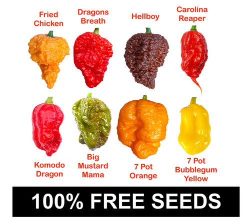 100 free worlds hottest - 100%,