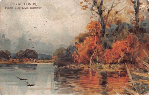 Postcard elstead royal - elstead,