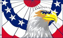 NEW Large 3'x5' Sand Rail