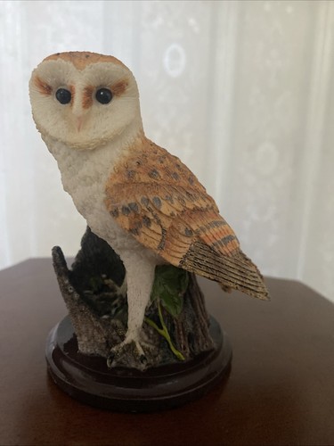 The barn owl from - from, country