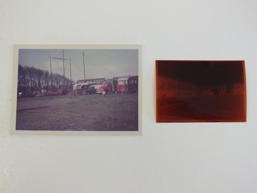 Bertram mills circus frankwell - bertram,