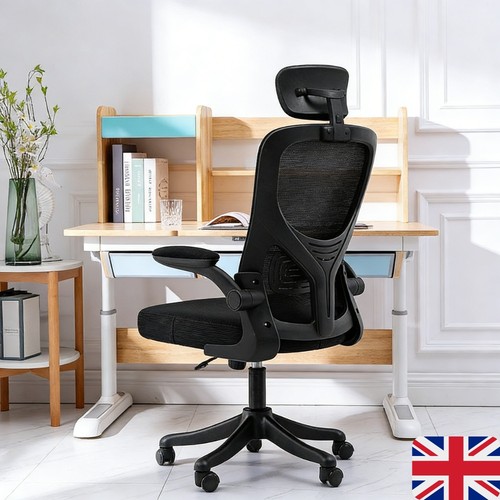 Executive office chair - chair, with