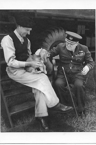 Winston churchill repro - winston,