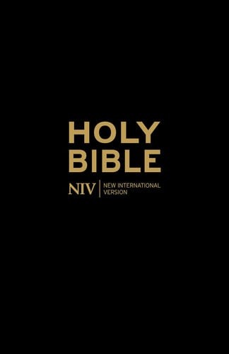 niv bible