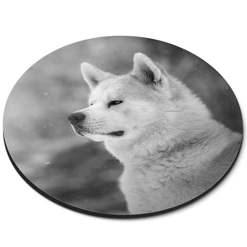 Round mouse mat - -, akita