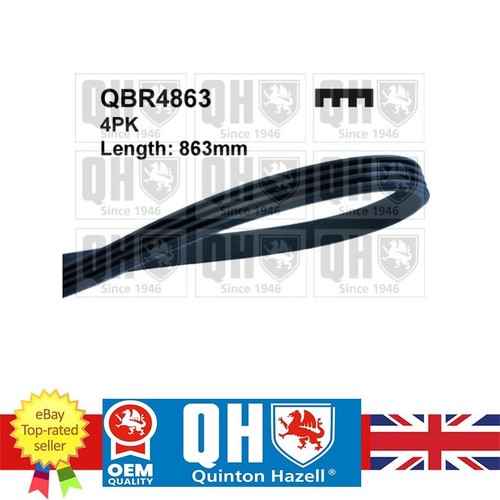 Ribbed belt for - belt, 100