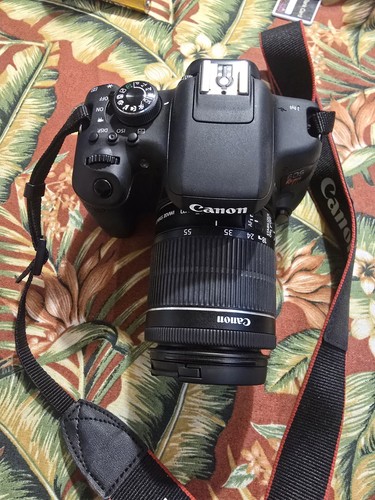Canon eos 750d rebel - 750d, t6i