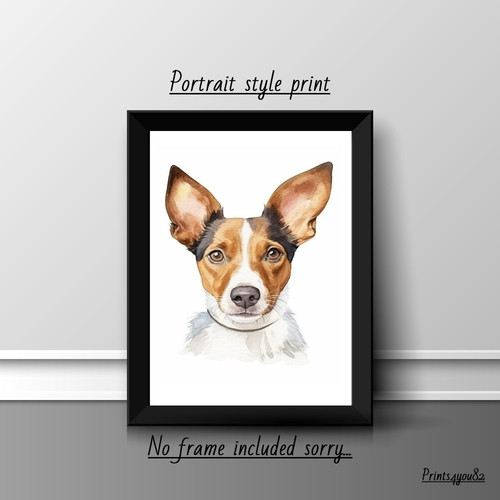 Toy fox terrier - fox, picture