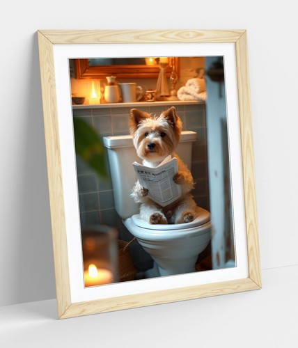 Yorkshire terrier toilet - yorkshire, on