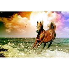 83373 White Horse Galloping