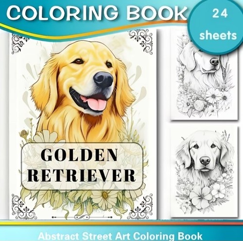 Golden retriever adult - retriever,