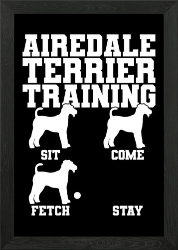 Airedale terrier training - airedale,