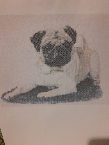 Pug dog cross stitch chart - dog,