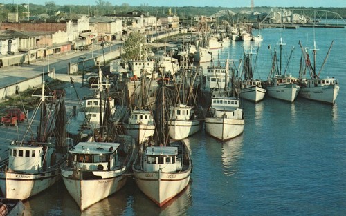 Vintage postcard shrimp boats - postcard,