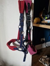 Lemieux Headcollars X 2 Cob Size Used