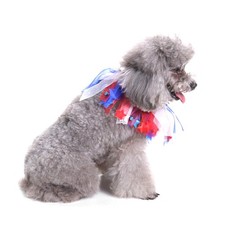 Fancy dog collars - collars, puppy