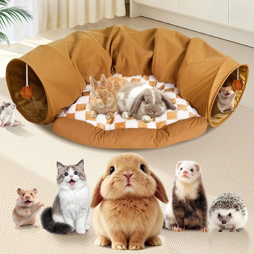 Cat tunnel bed with - cat,