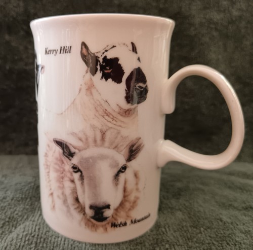 Breeds sheep coffee - 6,
