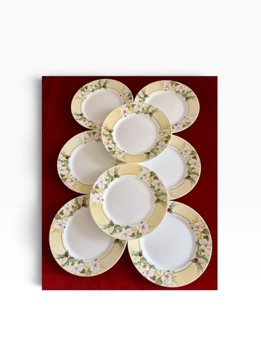 Corning corelle winter - corning, harmony