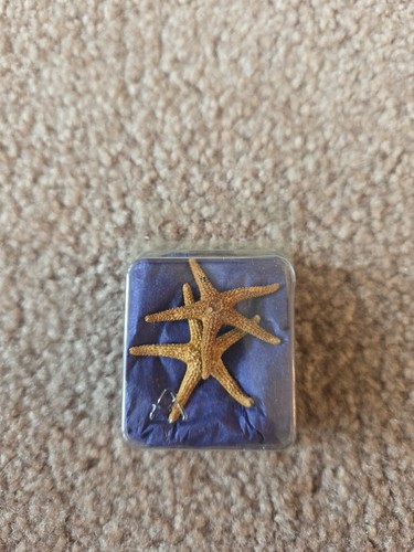 Real small dried - small,