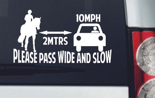 Please pass wide and slow - please,