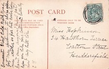 FAMILY HISTORY - GENEALOGY -