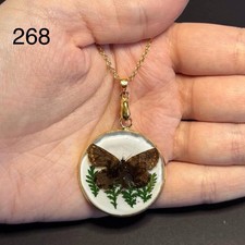 Unique Real Brown Argus