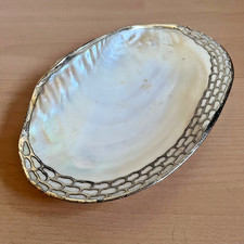 Vintage Seashell Shell