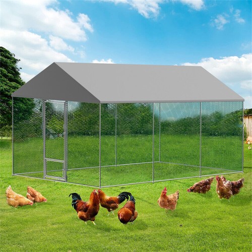 Xxl large spire shaped chicken - large, spire-shaped